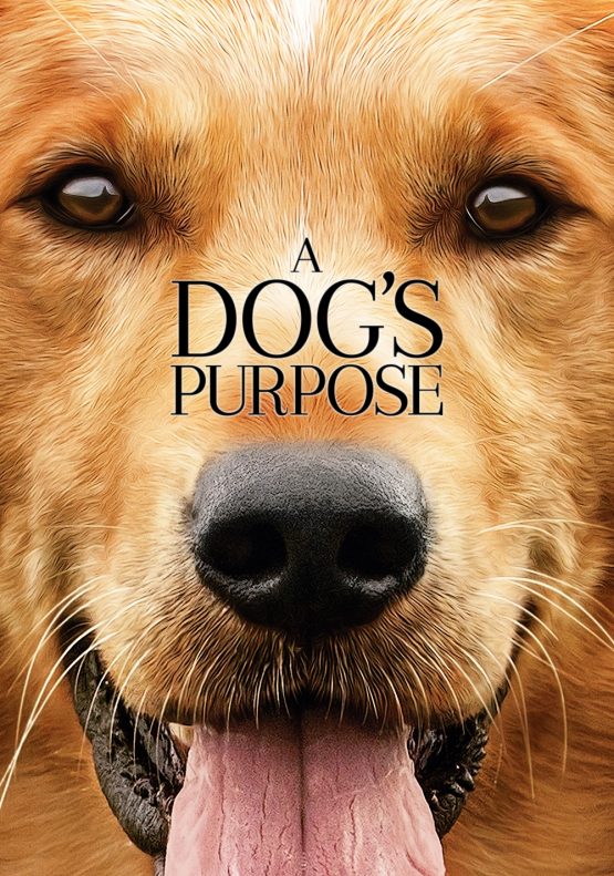 A Dog’s Purpose Dvd