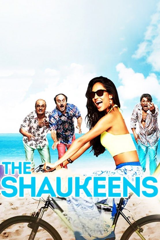 The Shaukeens Dvd