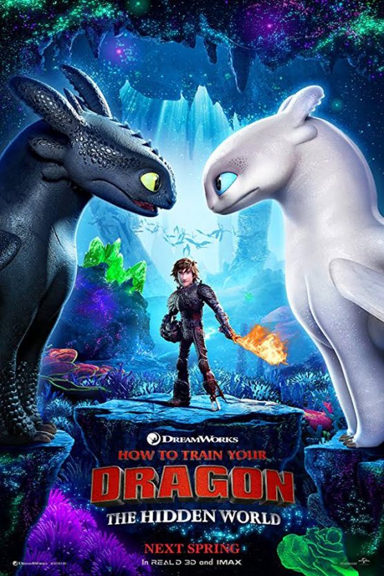 How to Train Your Dragon: The Hidden World Dvd