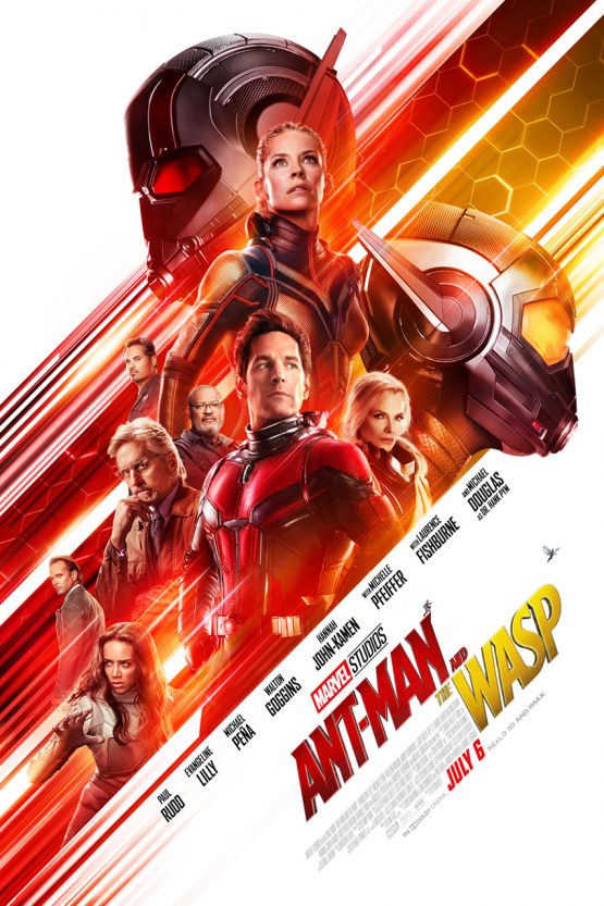 Ant-Man and the Wasp Dvd
