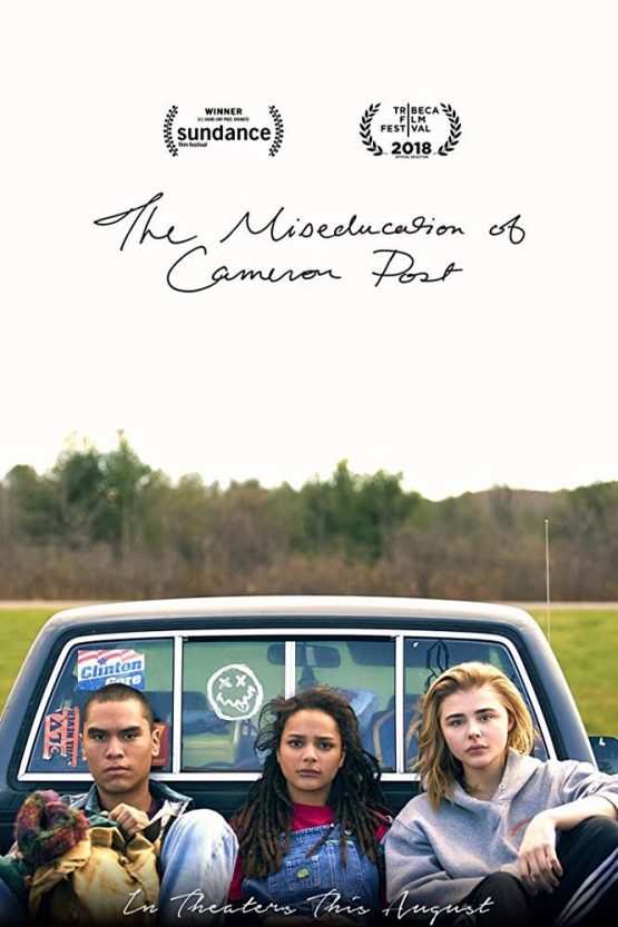 The Miseducation of Cameron Post Dvd