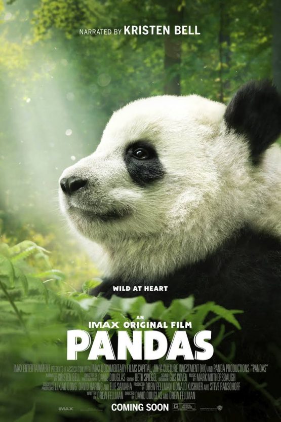 Pandas Dvd