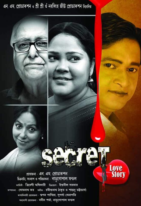 Secret Love Story Dvd