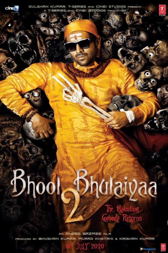 Bhool Bhulaiyaa 2 Dvd