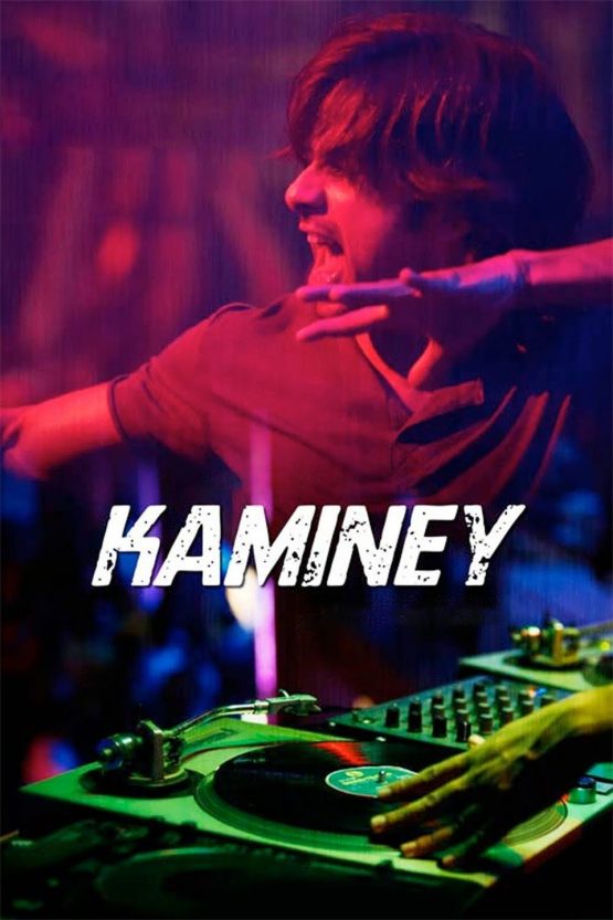 Kaminey: The Scoundrels Dvd