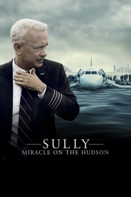 Sully: Miracle on the Hudson Dvd