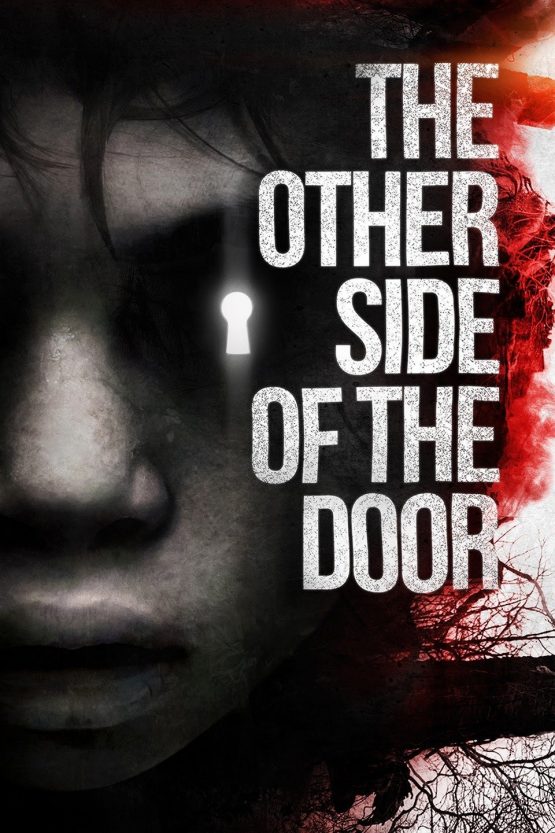 The Other Side of the Door Dvd