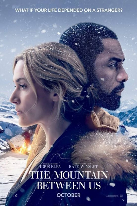 The Mountain Between Us Dvd
