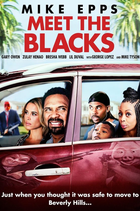 Meet the Blacks Dvd