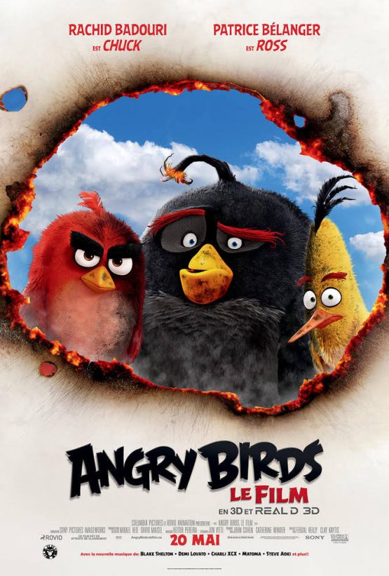 The Angry Birds Movie Dvd