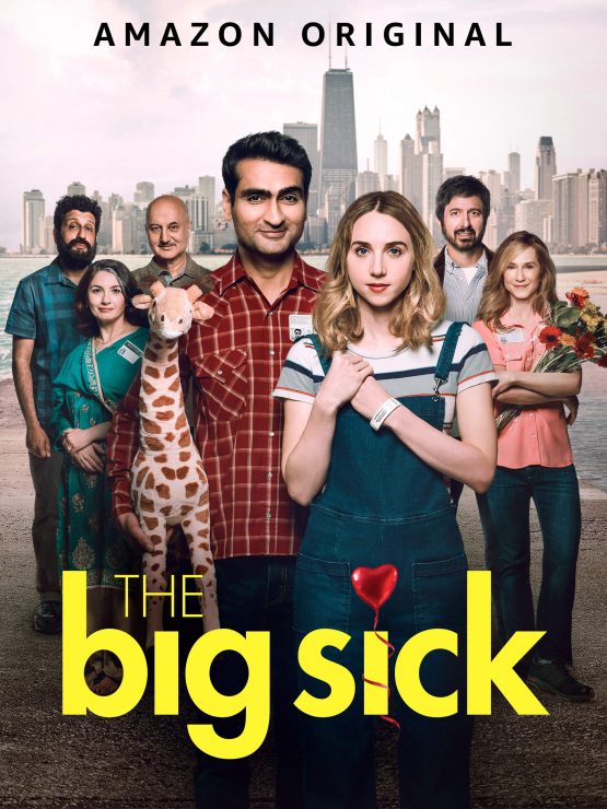 The Big Sick Dvd