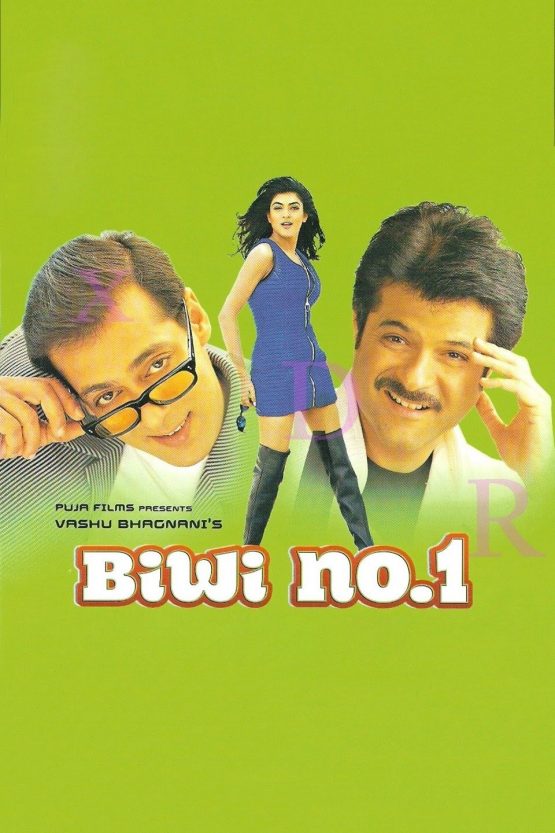 Biwi No.1 Dvd