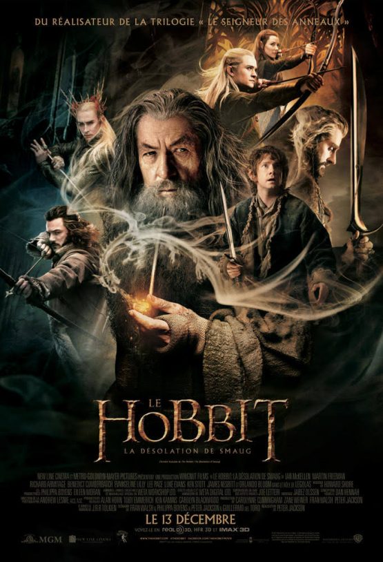 The Hobbit: The Desolation of Smaug Dvd