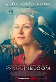 Penguin Bloom Dvd