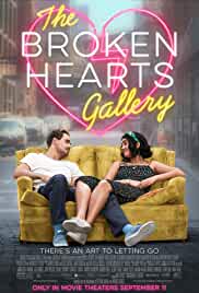 The Broken Hearts Gallery Dvd