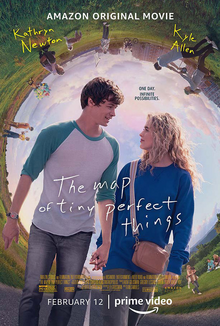 The Map of Tiny Perfect Things dvd