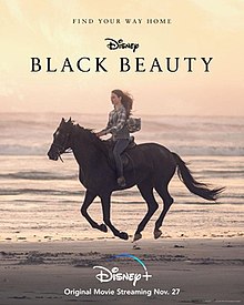 Black Beauty  dvd